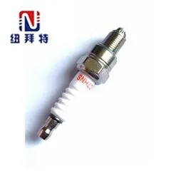 Motorcycle Ignition Plug